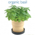 Organic Basil.png